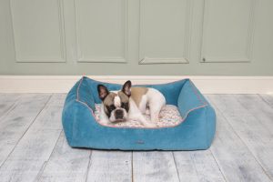 Beds & Blankets | Blue Printed Dog & Cat Sofa Bed – M/L Beds & Blankets Beds & Blankets