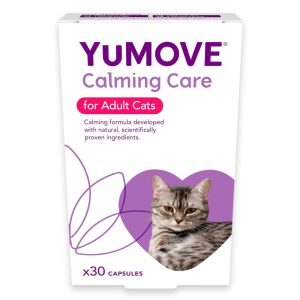 Calming & Behaviour | Calming Care Adult Cat Supplement Tablets – 30 Tablets Calming & Behaviour Calming & Behaviour