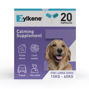 Calming & Behaviour | Calming Supplement For Dogs – 30-60Kg – 20 Capsules – 20 X 450Mg Capsules Calming & Behaviour Calming & Behaviour