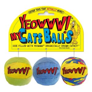 Catnip Toys | Catnip Balls Cat Toy – 3 Pieces Cat Catnip Toys