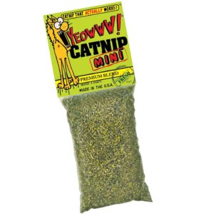 Catnip Toys | Catnip Mini Bag Cat Toy – 0.014Kg Cat Catnip Toys