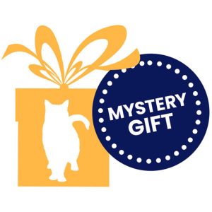 Catnip Toys | Mystery Gift Cat 2 – 1 Piece Cat Catnip Toys