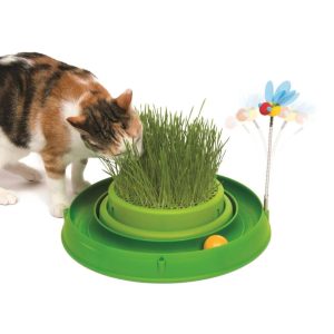 Catnip Toys | Play Circuit With Green Grass Cat Toy – 7.5Cm X 36Cm X 38Cm Cat Catnip Toys