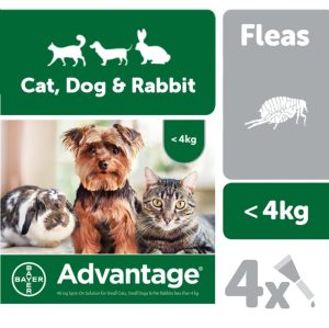 Flea, Tick & Worm | Bayer Spot On Flea Treatment For Pets (< 4Kg) – 4 Pipettes Dog Dog