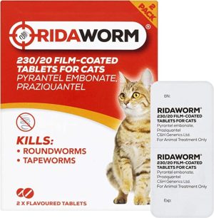 Flea, Tick & Worm | Cat – 1 – Box Cat Cats