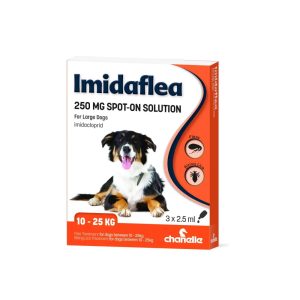 Flea, Tick & Worm | Large Dog – 1 – Box Dog Dog