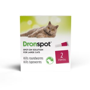 Flea, Tick & Worm | Spot On Wormer For Large Cats (5 To 8Kg) – 1 X 1.12Ml Pipette Cat Cats