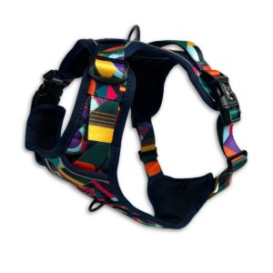 Leads & Harnesses | Adventure Aurora Multicolour Dog Harness – Size 1 Dog Dog