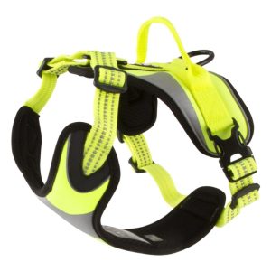 Leads & Harnesses | Dazzle Adjustable Hi Vis Dog Harness – Yellow – Extra Small (40Cm – 45Cm) Dog Dog