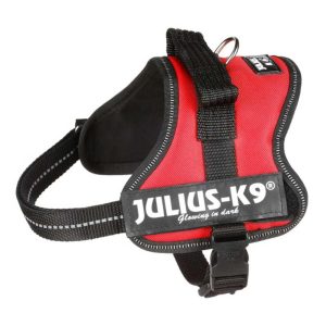 Leads & Harnesses | Julius-K9 Dog Powerharness – Red – Large – 63Cm-85Cm Dog Dog