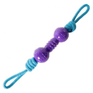 Tough Toys | Rope & Tpr Interactive Tug Dog Toy – Blue & Purple Dog Dog