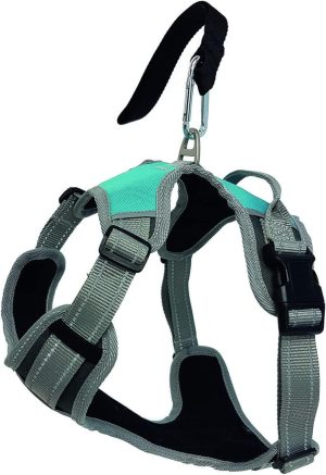 Travel Accessories | Blue/Grey Dog Travel Harness – L – Large Dog Dog