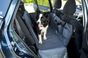 Travel Accessories | Dog Car Hammock – Grey Dog Dog