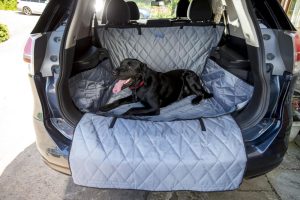 Travel Accessories | Suv Boot & Bumper Dog Car Protector – Grey Dog Dog