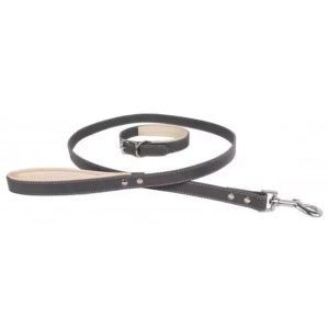 Leads & Harnesses | Luxury Dog Collar & Lead Set – One Size Dog Dog