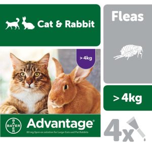 Flea, Tick & Worm | Spot On For Large Cats (4-8Kg) – 4 Pipettes Cat Cats